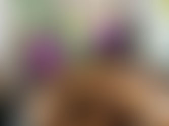 Banana, Oat, and Choc Chip Breakfast Cookie Recipe (Healthy, Easy & Family-Friendly)