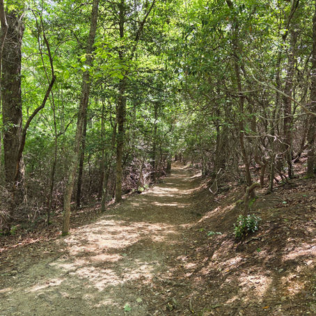 Raven Rock Loop Trail