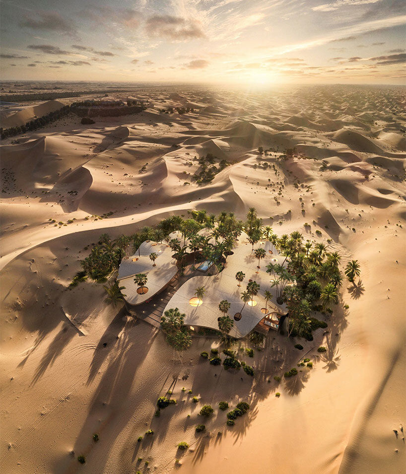 a-top-view-of-oasis-in-the-desert