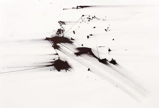 Yüksel Dal, homeroscopium serisi series