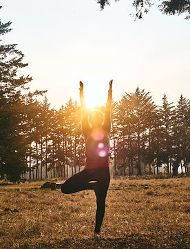 Yoga im Wald.jpg