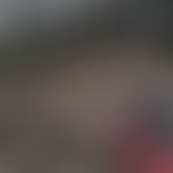 Pluie, boue et glace : aventures hivernales en forêt et relais givrés chez les Kuristos