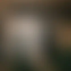 Fotografie-Grundlagen als Spickzettel Gefällig?