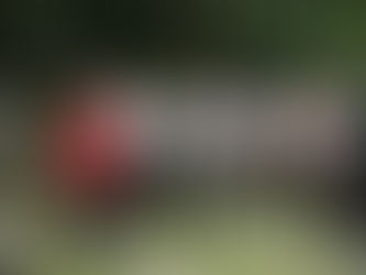 「價値教育在龍圃」計劃: 新生命教育協會呂郭碧鳳中學