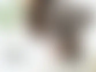 生理痛をやり過ごすには。