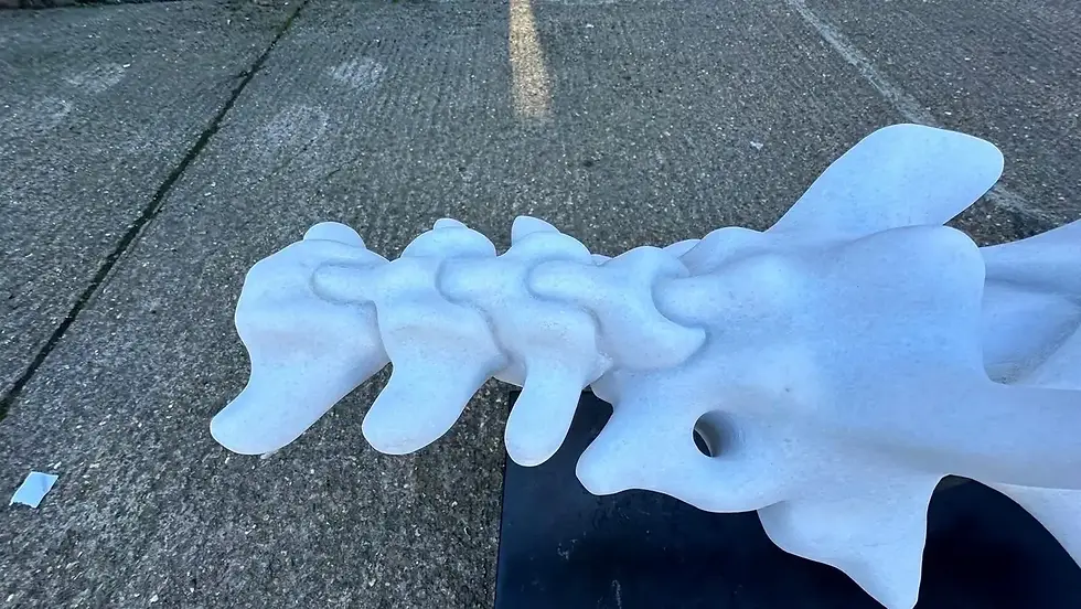 Thumbnail: Hand-Carved Marble Vertebrae Sculpture on Marble Base