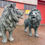 Thumbnail: Pair of Large Bronze Lions, 20th Century