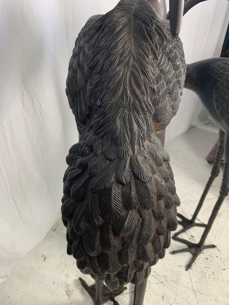 Thumbnail: Oriental Cranes