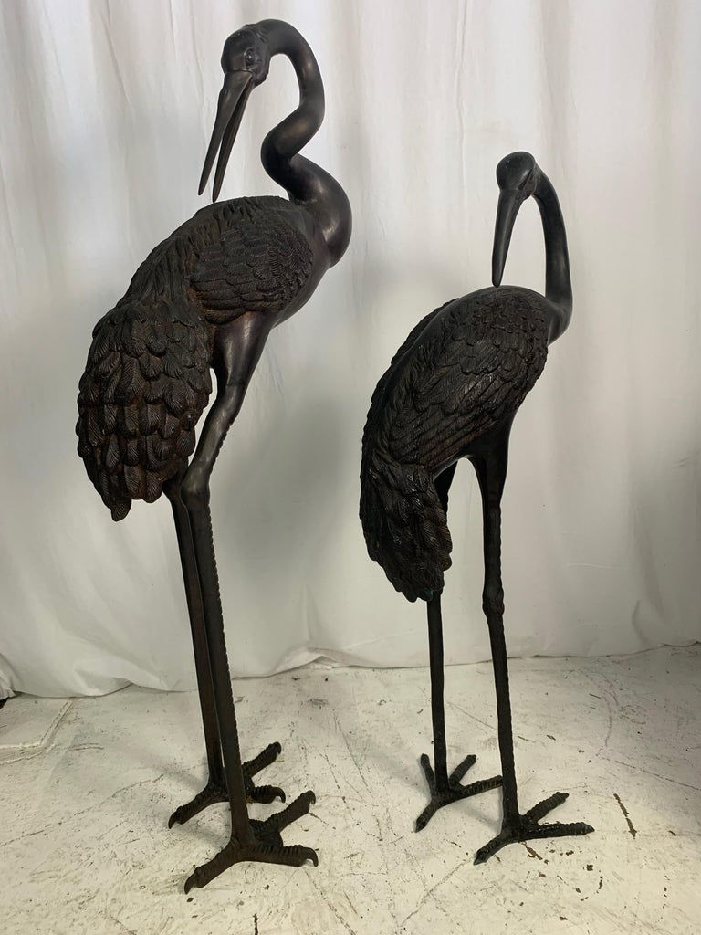 Thumbnail: Oriental Cranes