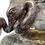 Thumbnail: Pair of Cast Bronze Neoclassical Roman Style Urns