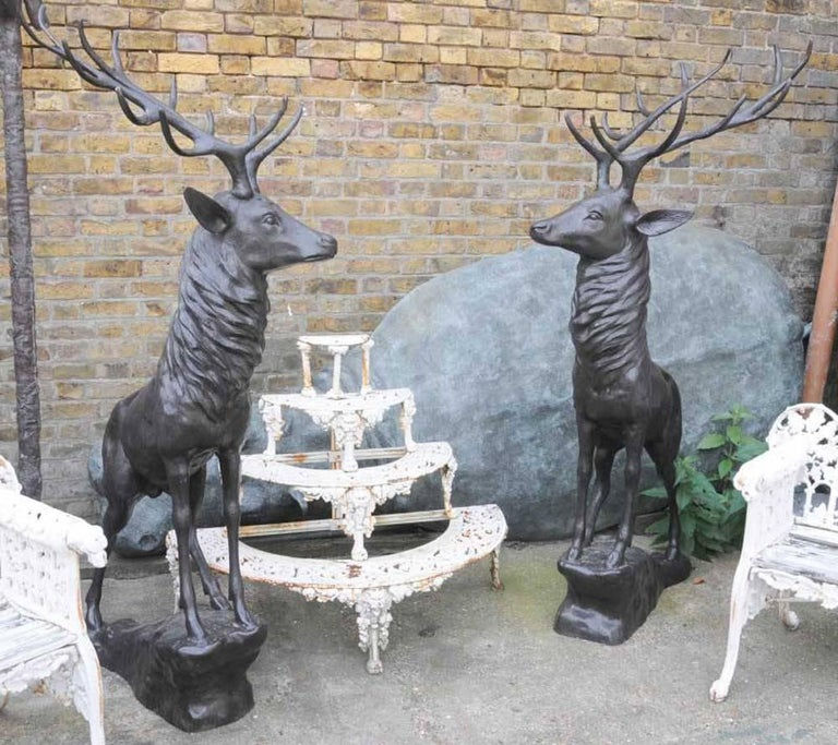 Thumbnail: Pair of Bronze Life 20th Century Size Stags on Rocks in a Majestic Pose