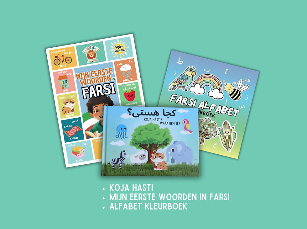 Combideal 2 Farsi - Nederlands