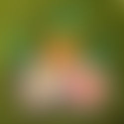 Petal Pal Bag Dangler: Free pattern