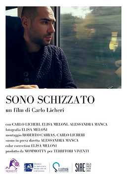 SONO SCHIZZATO Poster.png