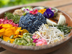 Nature Restaurant in Koh Samui - A Culinary Delight