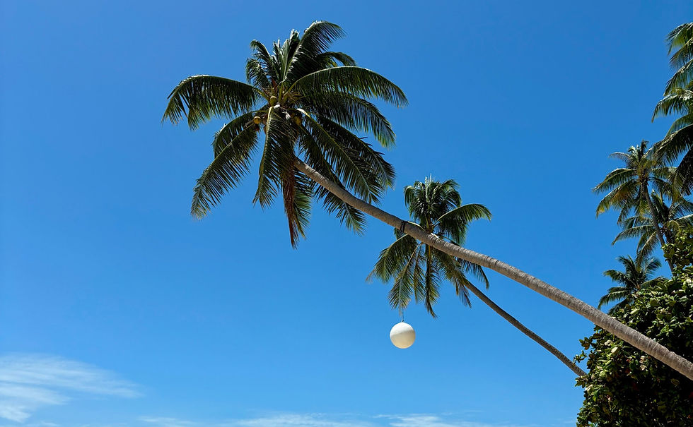 Slow-travel with young children in Koh Samui - A Guide