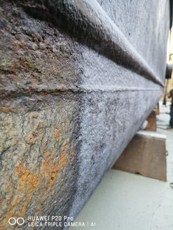 94718335_251551169332001_253109434287390