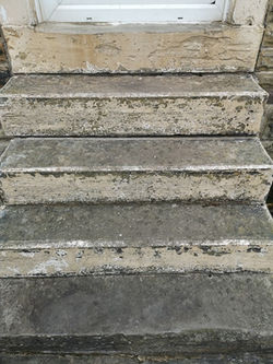 94567865_963840764047310_139417352417994