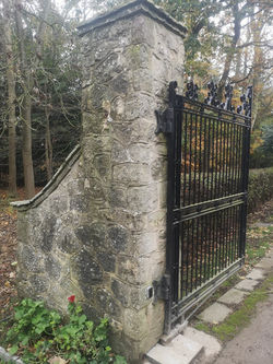 131546131_172433831230863_62878265431881