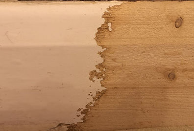 94587834_554794288495111_322925557907980