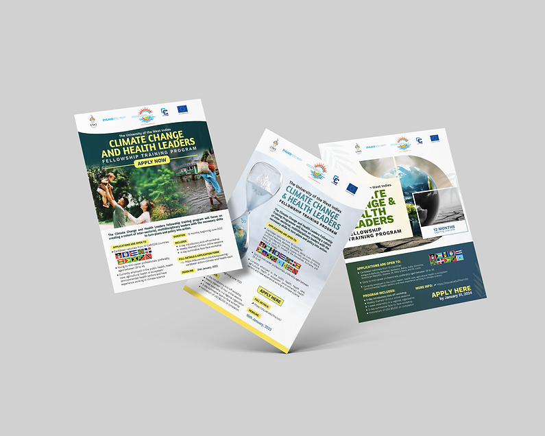 Climate Change Fellowship Flyers.png