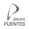 GRUPO PUENTES