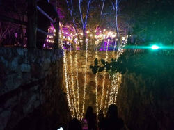 IMG-20200207-WA0030