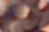 The Penny Press Pennies_edited.jpg