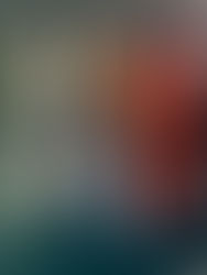 釣果　　　　12月29日