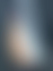 釣果　　　　12月28日