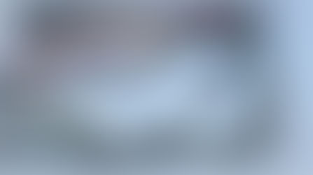 釣果　　4月11日