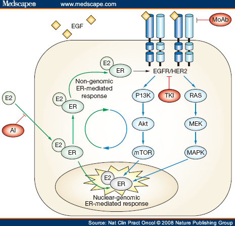 ncpo580741.fig1.gif