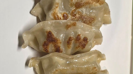 Dumpling jumbo poulet et crevettes