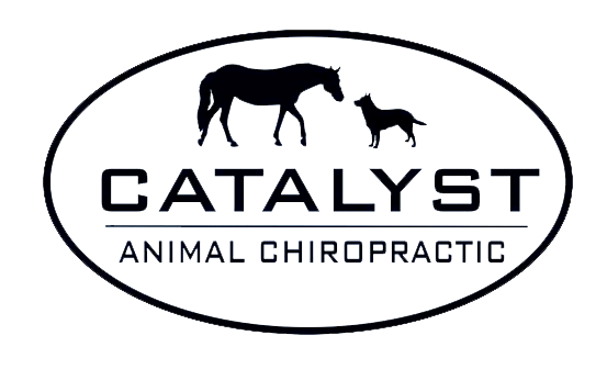 catalyst-logo-transparent-bgr.gif