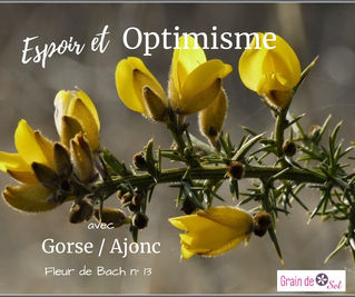 Retrouver l'EN-VIE !