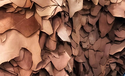 WhatsApp Image 2025-10-08 at 1.02.49 PM.jpeg