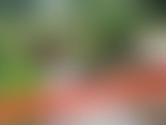 Appello per l'Appenino romagnolo