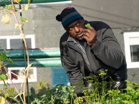 (Ita/Eng) Bandito Giardiniere / Gangsta Gardener