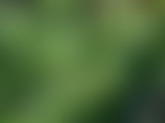 Greenery Transformation