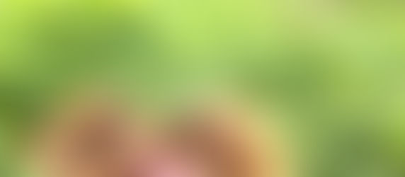 美和に来ないとできないよ、絶対！「岸根栗」の栗拾い①