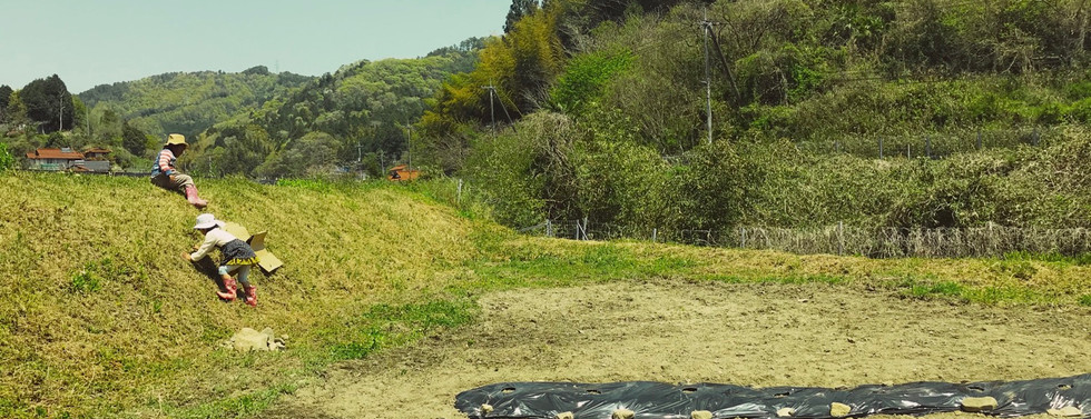 Home まちえーる みわまち里山暮らし応援団