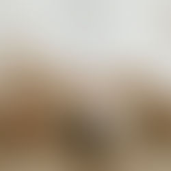 Lodi, CA- Studio Session