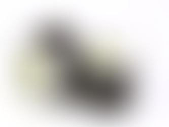 「令和の米騒動」~これからの米作のあり方を考える~(コラム#043)