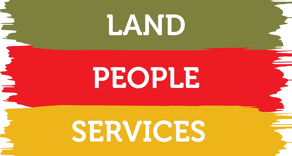 NEW NEW LAND banner2 without logo.png