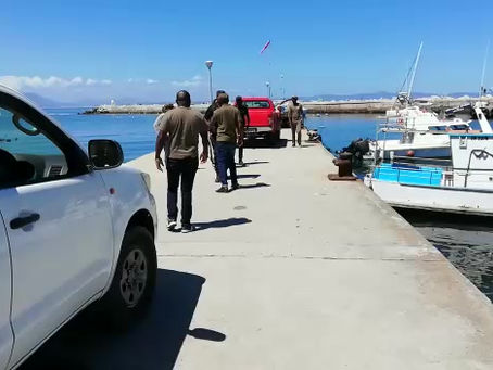 #PrivateSecurityMustFall in Hermanus