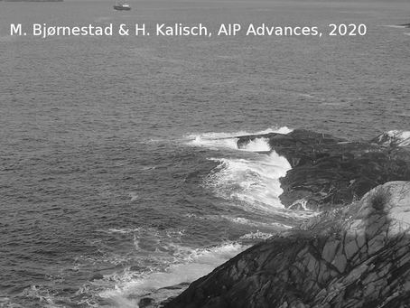 Extreme wave runup on a steep coastal profile