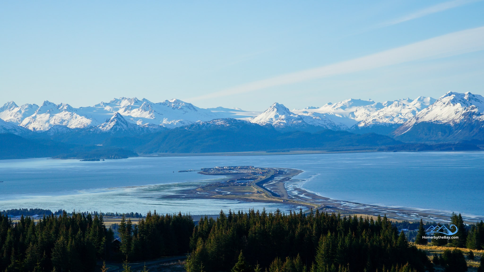 Things to Do in Homer Alaska Exploring the Low Summer Tides