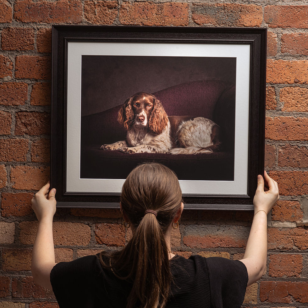 Ordering Your Photos & Products – Everything You Need to Know