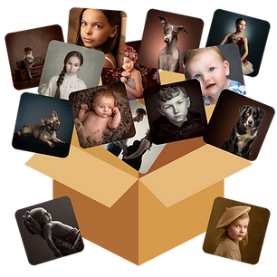 Untitled design (4).png