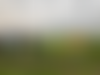 THIS WEEK IN SUSTAINABILITY: July 21st - 27th, 2025